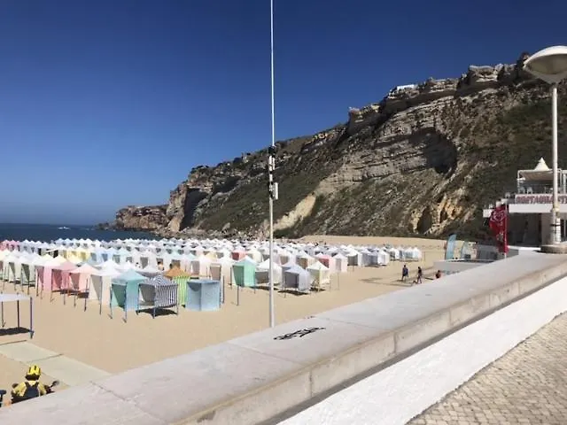 Casa Olivia Partida *